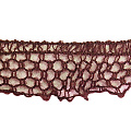 Кружево вязаное "ASTRO" 1143/30 Кружево вязаное "ASTRO" 1143/30